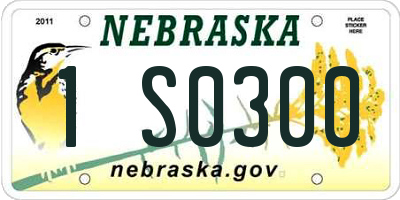 NE license plate 1S0300