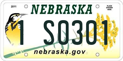 NE license plate 1S0301