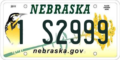 NE license plate 1S2999