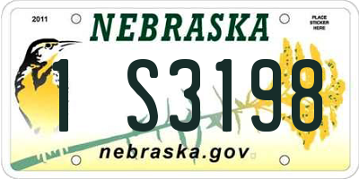 NE license plate 1S3198