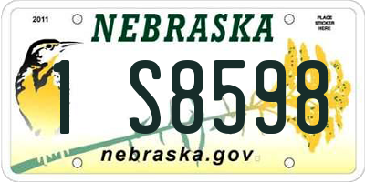 NE license plate 1S8598