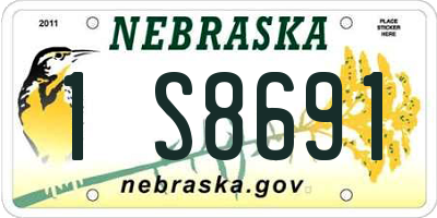 NE license plate 1S8691
