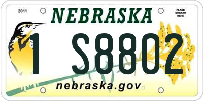 NE license plate 1S8802