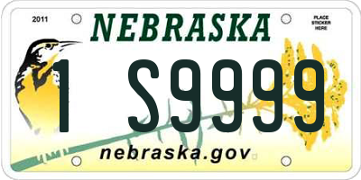 NE license plate 1S9999