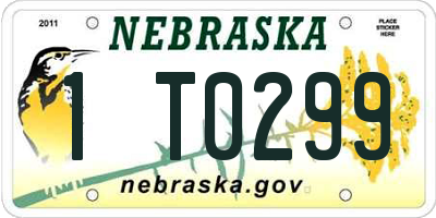 NE license plate 1T0299