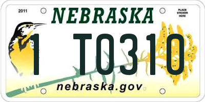 NE license plate 1T0310
