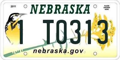 NE license plate 1T0313