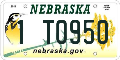 NE license plate 1T0950