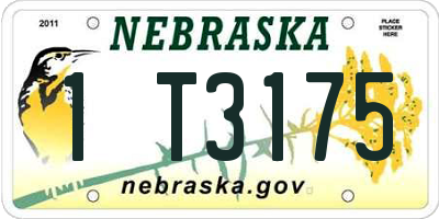 NE license plate 1T3175
