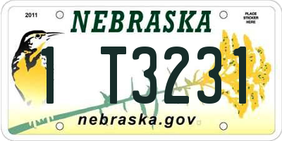 NE license plate 1T3231