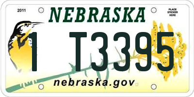 NE license plate 1T3395