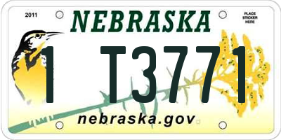 NE license plate 1T3771