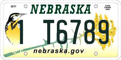 NE license plate 1T6789