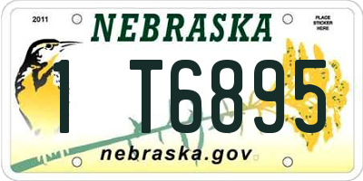 NE license plate 1T6895