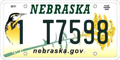 NE license plate 1T7598