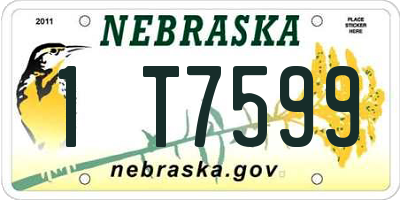 NE license plate 1T7599
