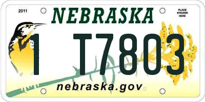 NE license plate 1T7803