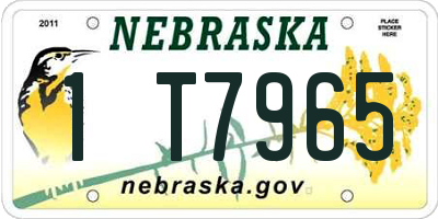 NE license plate 1T7965