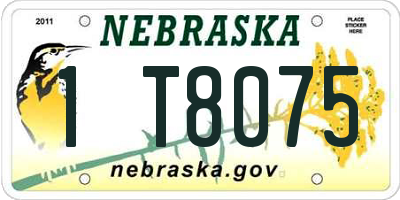 NE license plate 1T8075