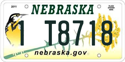 NE license plate 1T8718