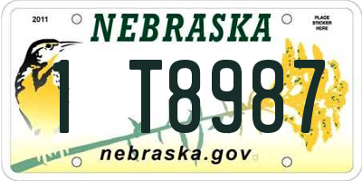 NE license plate 1T8987