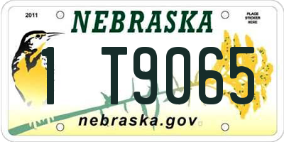 NE license plate 1T9065