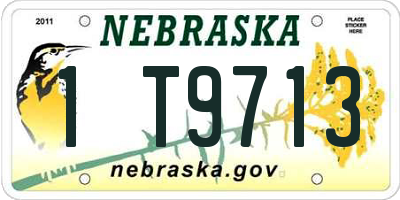 NE license plate 1T9713