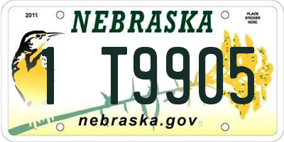 NE license plate 1T9905