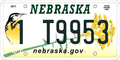 NE license plate 1T9953