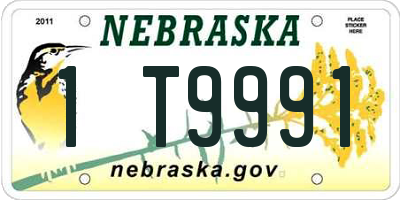 NE license plate 1T9991
