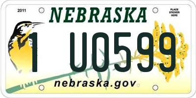 NE license plate 1U0599