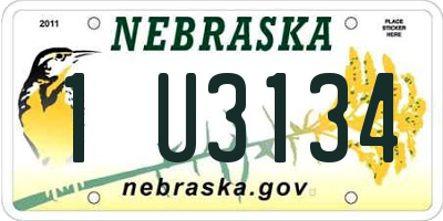 NE license plate 1U3134