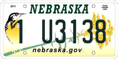 NE license plate 1U3138