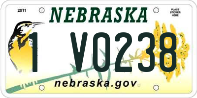 NE license plate 1V0238