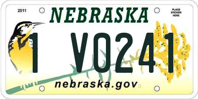 NE license plate 1V0241