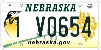 NE license plate 1V0654
