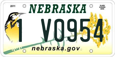 NE license plate 1V0954