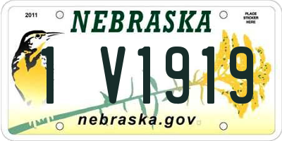 NE license plate 1V1919