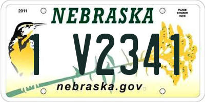NE license plate 1V2341