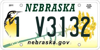 NE license plate 1V3132