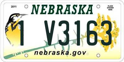 NE license plate 1V3163