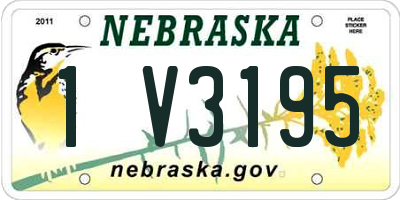 NE license plate 1V3195
