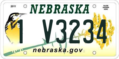 NE license plate 1V3234