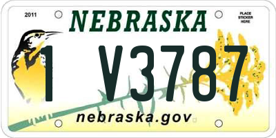 NE license plate 1V3787