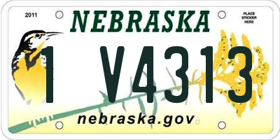 NE license plate 1V4313