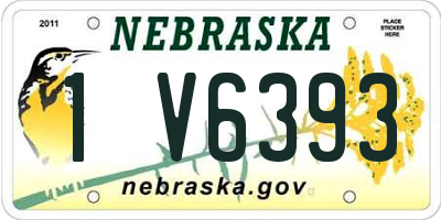 NE license plate 1V6393