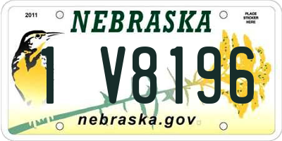 NE license plate 1V8196