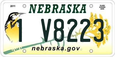 NE license plate 1V8223