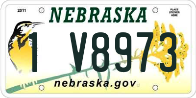 NE license plate 1V8973