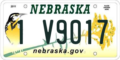 NE license plate 1V9017